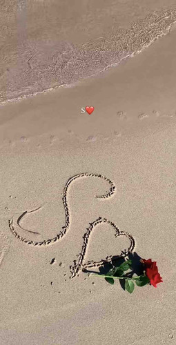 C9BFA217 B470 4F99 BD55 F824B7B9BEA8.jpg