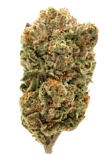 Gelatti Inspiration 8.13.jpg