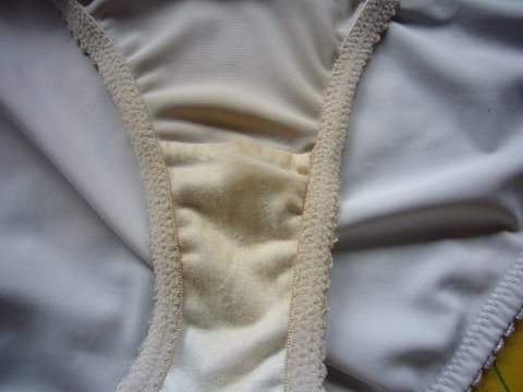 48042124101 c08d0a762a o.jpg