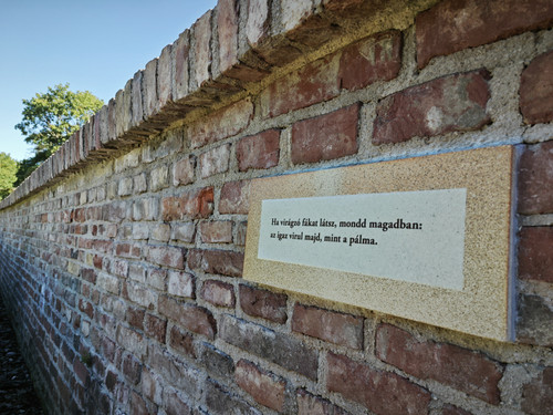 IMG 20230813 171903.jpg