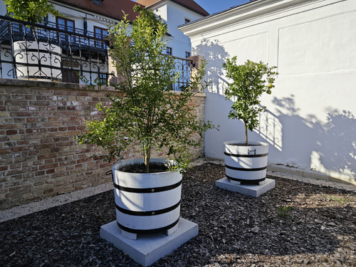 IMG 20230813 172104.jpg