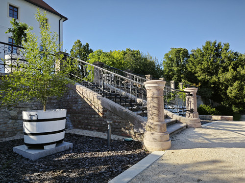 IMG 20230813 172204.jpg