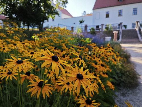 IMG 20230813 170611.jpg