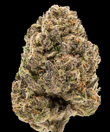 Mt. Hood Magic PhotoRoom.png PhotoRoom.png