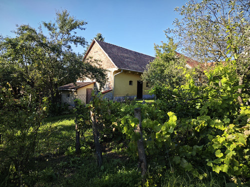 IMG 20230811 174149.jpg