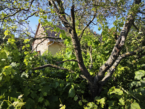 IMG 20230811 174204.jpg