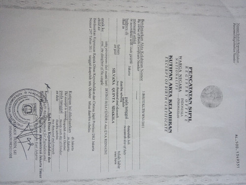 scaled d53b6418 196f 43cf be16 63dd017bea4b3390291699039766272.jpg