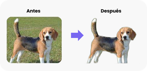 a d prueba 2.png