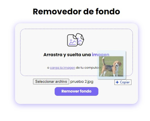 carga de imagen 1.jpg