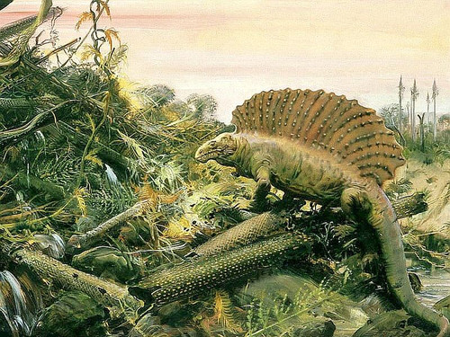 dino01.jpg
