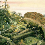 dino01