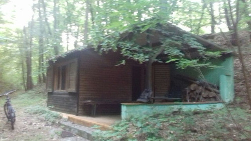 bos huisje.jpg