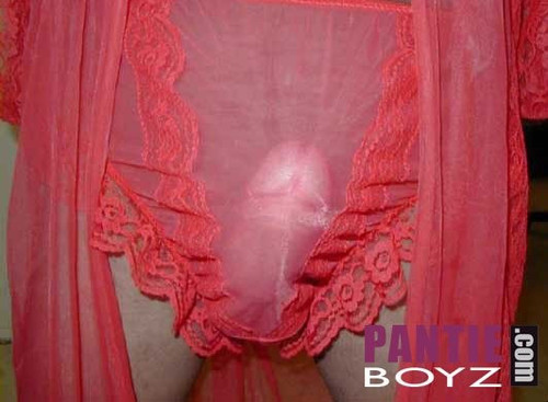 multixnxx Lots of close up shots of pantie boys with 3