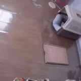 花式拉屎.gif