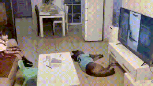 这个狗腿子，太狗了.gif