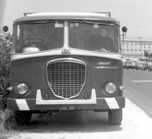 365658315 1078175056481183 8481104544235069246 n.jpg