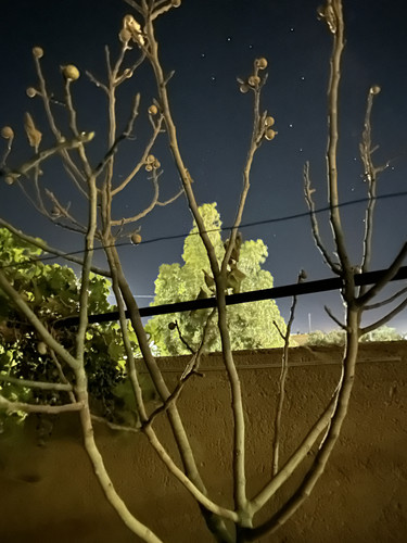 0B768B0B 083A 41B9 ADC1 A8688CBAFFAF.jpg