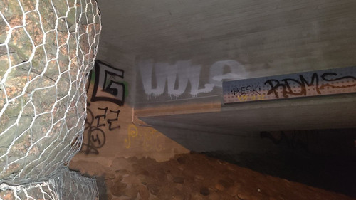 photo 2023 08 14 03 17 05.jpg