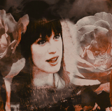 every rose has its thorn main