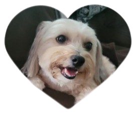 lil1.png