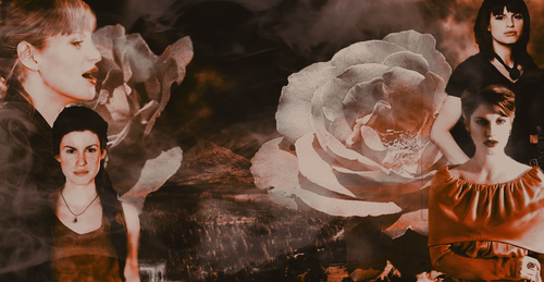 every rose has its thorn bg