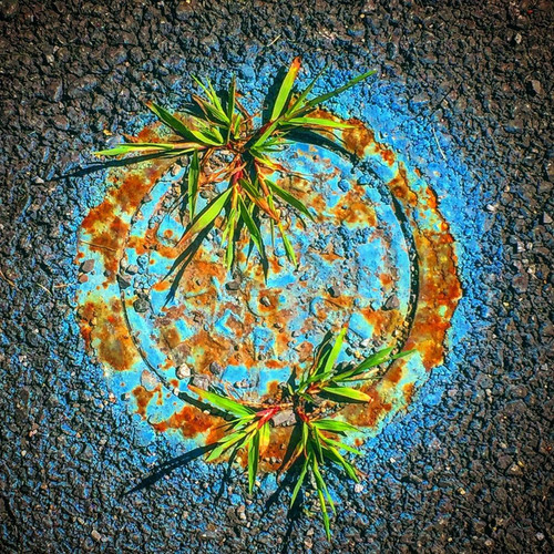 jlosswald magic roomynesses!!.jpg