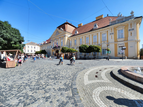 IMG 20230812 104438.jpg