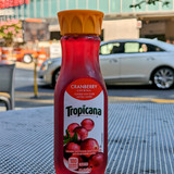 PXL 20230817 131953133.MP~2