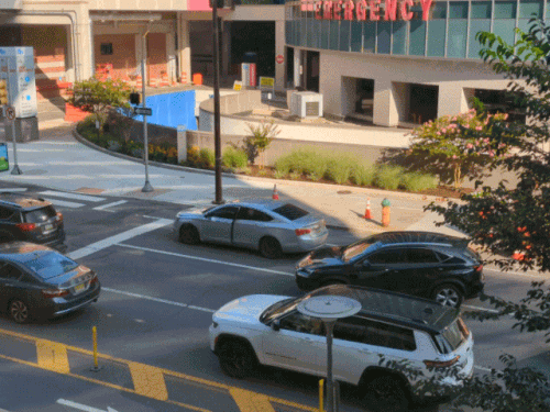 PXL 20230817 125118170 exported stabilized 1692276691137