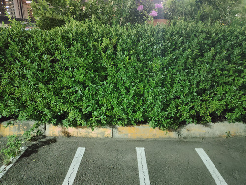 IMG20230808195848.jpg