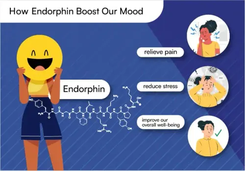 endorphin and mood boost.webp