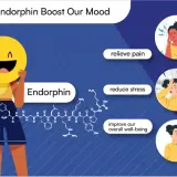 endorphin and mood boost