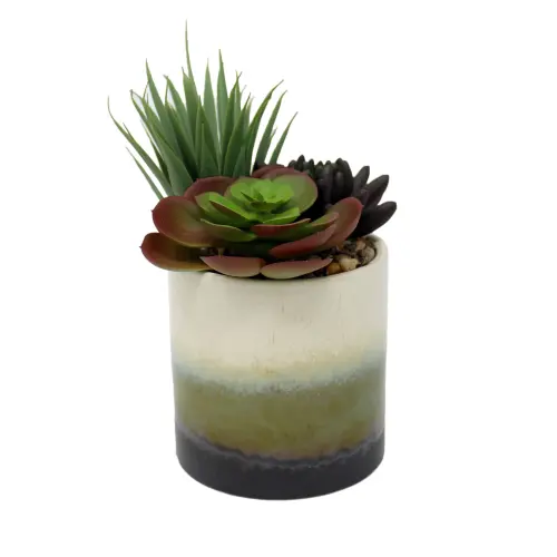 Mainstays 7 5 Mixed Artificial Succulent Arrangement in Ceramic Planter Cream White Brown Green d7f7.webp