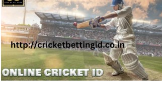 cricket webs (1).jpg