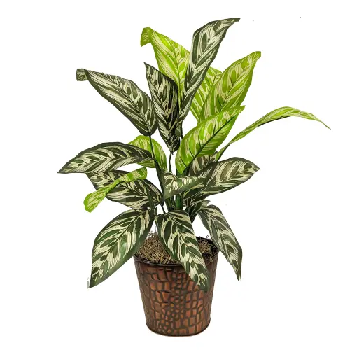 LCG Sales 24 Artificial Variegated Green Leaf Potted Prayer Plant with Embossed Metal Pot 24f6c02a b.webp