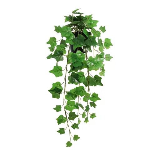 Mainstays 22 8 Tall Artificial Hanging Green Ivy Plant in Black Pot f41164d5 25ac 4465 b85f 345fefdf