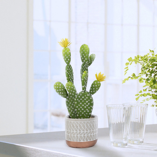 houseplant in contemporary white interior; Shutterstock ID 292782932; user id: 13055255; user email:.jpg