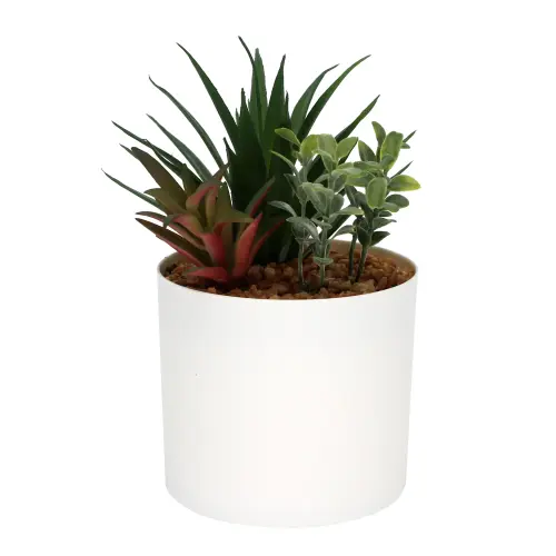 Mainstays 6 8 Artificial Mixed Succulent Plants in White Planter Pot f813e290 8eed 4104 8643 6cad114.webp