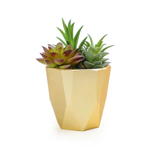 The Mainstays 6 2 Artificial Red And Green Succulent Plant Arrangement In Plastic Gold Pot a32217f3 .webp