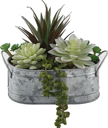 Mainstays 6 8 Artificial Succulent Plants in Metal Planter fc39422a 8341 4bbc 91db 9aef91954021.1799.webp