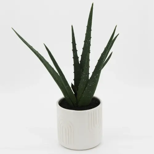 Mainstays 11 25 Artificial Aloe Vera Plant in White Rainbow Print Ceramic Pot f1b53581 02a5 44f8 816