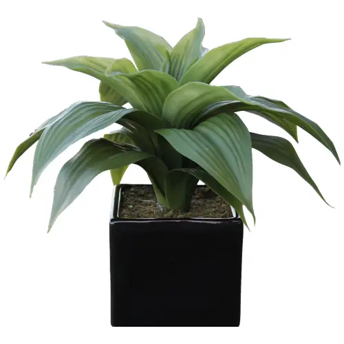 Mainstays 10 5 Artificial Dracaena Plant Arrangement in Black Ceramic Pot 10 5 H x 11 W x 10 5 D fb7