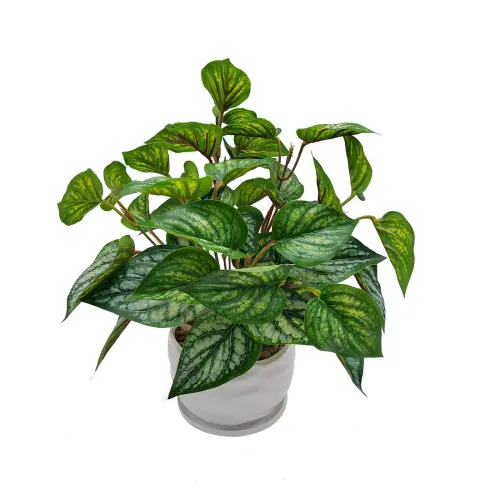 Mainstays 12 5 Height Artificial Plant in Pot Caladium Green Color 36a6bf8d 1c10 4427 b27d 976b1a889.webp