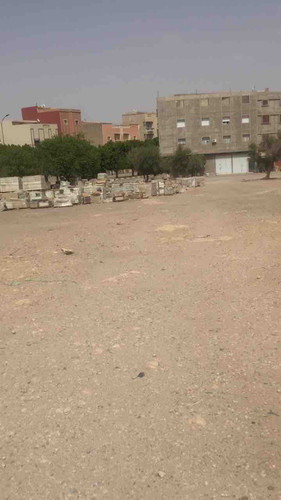 848BD621 2BF2 4127 B1E1 54448172AEAE.jpg