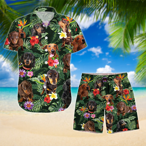 Off 5 ĐỔI NỀN.jpg