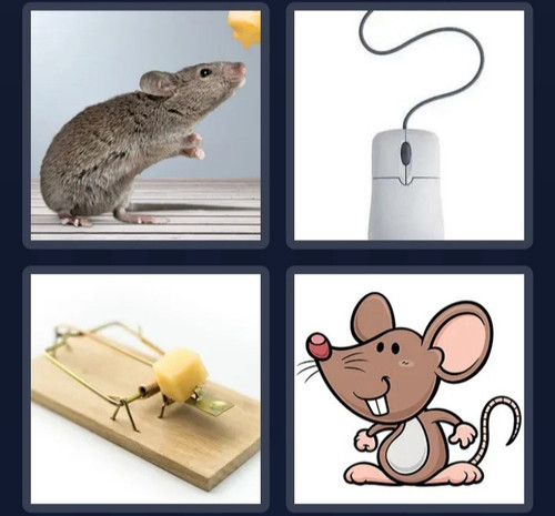 IMG 20230811 104133.jpg