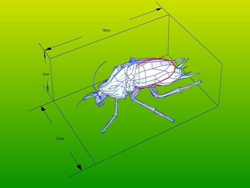 featured preview roach2.jpg