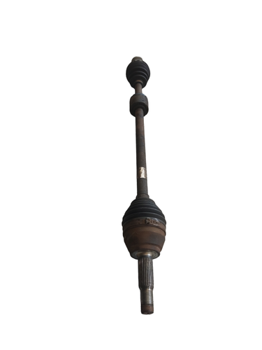 PhotoRoom 20230817 144732.png