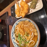 Udon