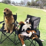 Screenshot 20230817 175013